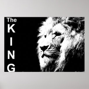 Black White Photo Lion Sjabloon Natuur Animal Poster