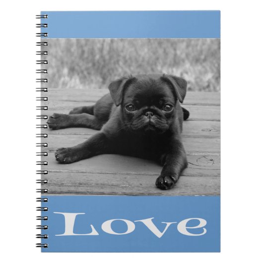 Black & White Pug Puppy Dog Blue Love Notebook Notitieboek (Voorkant)