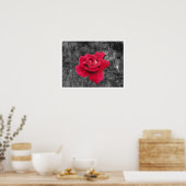 Black White Red Rose Poster (Keuken)