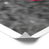 Black White Red Rose Poster (Hoek)