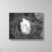 Black & White Rock in het meer Water 11x14 Canvas Afdruk (Voorkant)