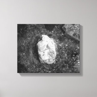 Black & White Rock in het meer Water 11x14 Canvas Afdruk