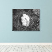 Black & White Rock in het meer Water 16x20 Canvas Afdruk (Insitu (Houten vloer))