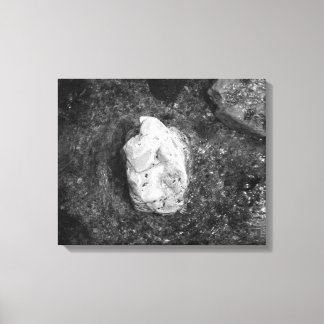 Black & White Rock in het meer Water 16x20 Canvas Afdruk