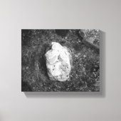 Black & White Rock in het meer Water 8x10 Canvas Afdruk (Voorkant)