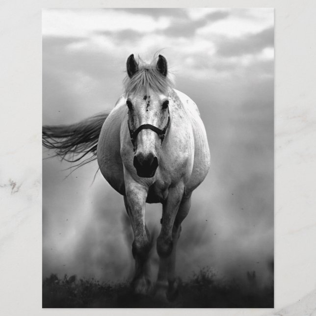Black White Running Horse Freedom (Voorkant)