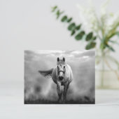 Black White Running Horse Freedom Briefkaart (Staand voorkant)