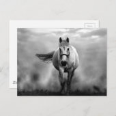 Black White Running Horse Freedom Briefkaart (Voorkant / Achterkant)