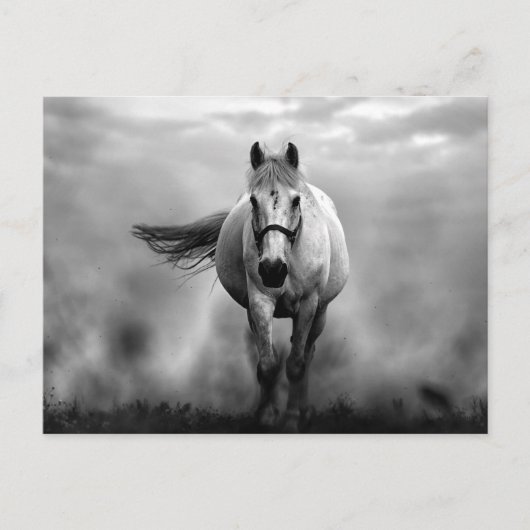 Black White Running Horse Freedom Briefkaart (Voorkant)