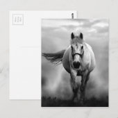 Black White Running Horse Freedom Briefkaart (Voorkant / Achterkant)