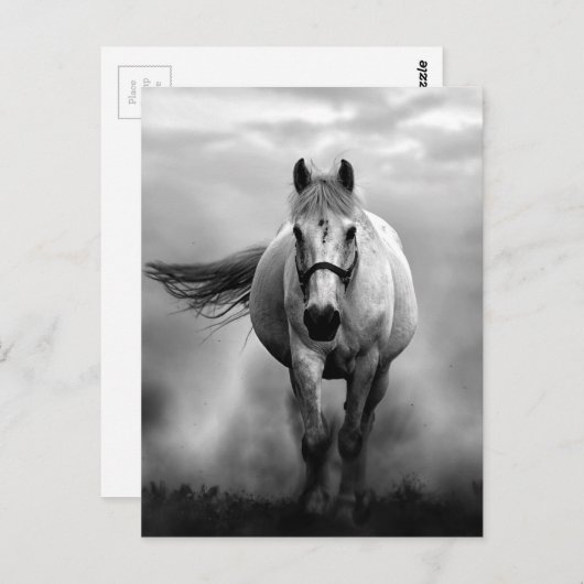 Black White Running Horse Freedom Briefkaart (Voorkant / Achterkant)