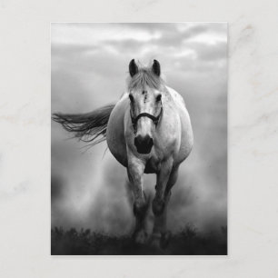 Black White Running Horse Freedom Briefkaart