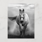 Black White Running Horse Freedom Briefkaart (Voorkant)