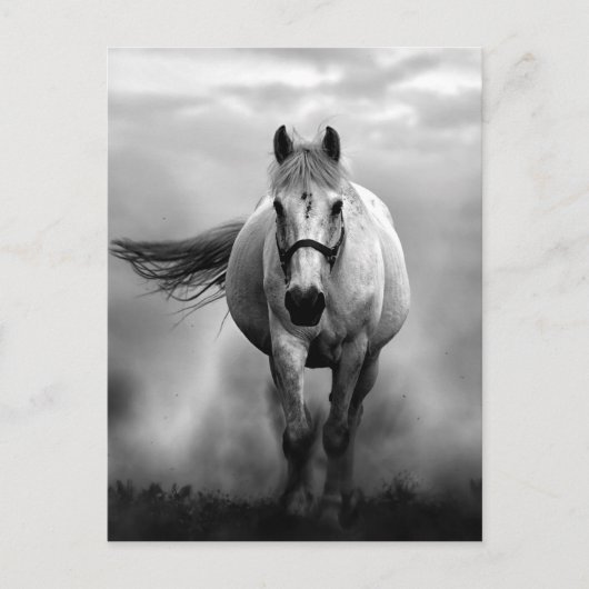 Black White Running Horse Freedom Briefkaart (Voorkant)