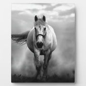 Black White Running Horse Freedom Fotoplaat (Voorkant)