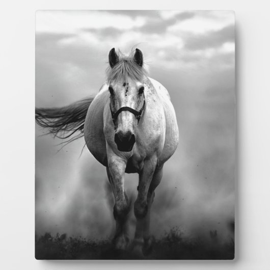 Black White Running Horse Freedom Fotoplaat (Voorkant)