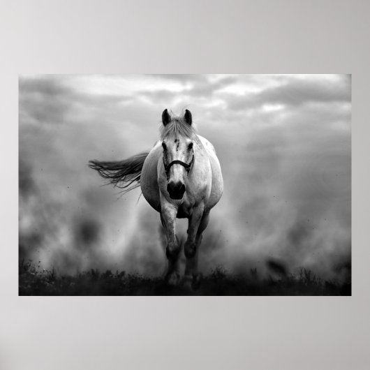 Black White Running Horse Freedom Poster (Voorkant)