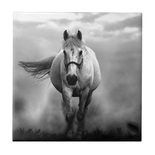 Black White Running Horse Freedom Tegeltje (Voorkant)