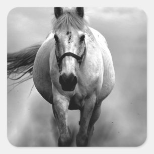 Black White Running Horse Freedom Vierkante Sticker
