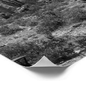 Black & White Saguaro Cactus in de Arizona 16x20 Poster (Hoek)