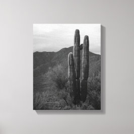 Black & White Saguaro Cactus in Heuvels 11x14 Canvas Afdruk