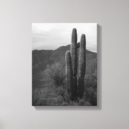 Black & White Saguaro Cactus in Heuvels 11x14 Canvas Afdruk (Voorkant)