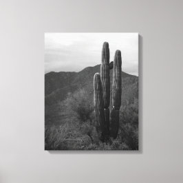 Black & White Saguaro Cactus in Heuvels 16x20 Canvas Afdruk
