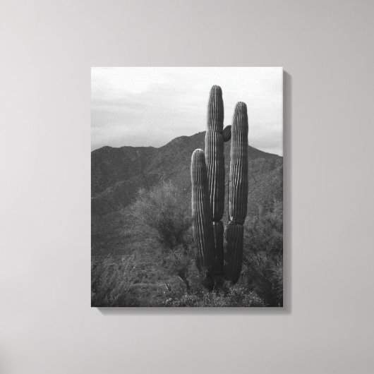 Black & White Saguaro Cactus in Heuvels 16x20 Canvas Afdruk (Voorkant)
