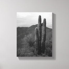 Black & White Saguaro Cactus in Heuvels 8x10 Canvas Afdruk