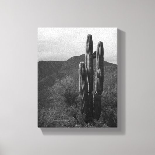 Black & White Saguaro Cactus in Heuvels 8x10 Canvas Afdruk (Voorkant)
