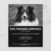 Black & White Shetland Sheepdog Photo Dog Trainer Flyer (Voorkant)