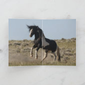 Black & White Strikes Wild Horse Wenskaart Kaart (Binnen)