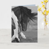 Black & White Strikes Wild Horse Wenskaart Kaart (Gele Bloem)