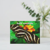 Black White Stripe Butterfly Hallo Sunshine Script Briefkaart (Staand voorkant)