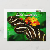 Black White Stripe Butterfly Hallo Sunshine Script Briefkaart (Voorkant / Achterkant)