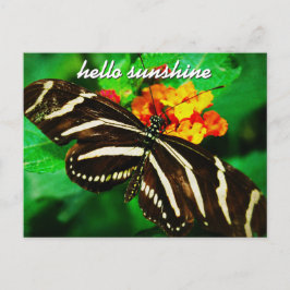 Black White Stripe Butterfly Hallo Sunshine Script Briefkaart