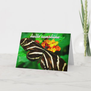 Black White Stripe Butterfly Hallo Sunshine Script Kaart
