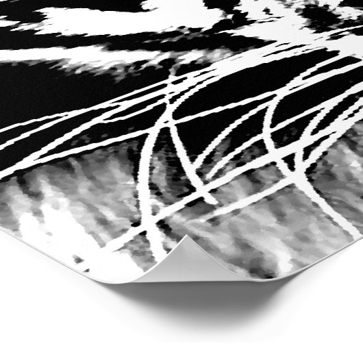 Black White Tiger Eyes Poster Print (Hoek)