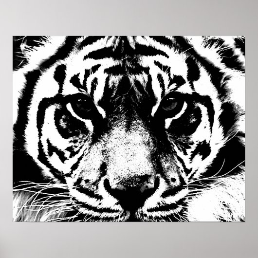 Black White Tiger Eyes Poster Print (Voorkant)