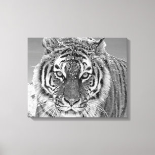 Black White Tiger Winter Photo Snow Mountain Canvas Afdruk