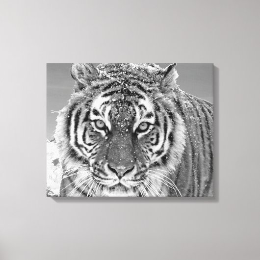 Black White Tiger Winter Photo Snow Mountain Canvas Afdruk (Voorkant)