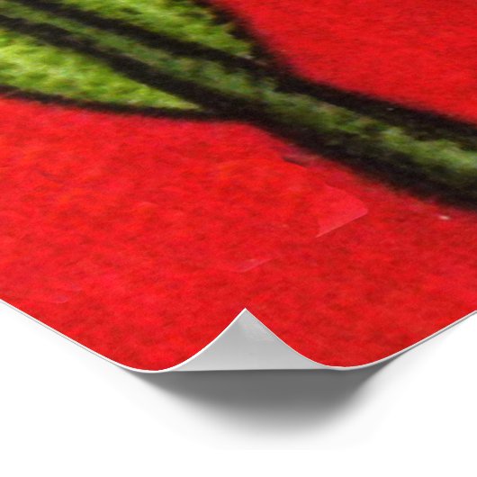 Black White Tuxedo Cat White Daisies Red Poster (Hoek)