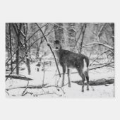 Black White Winter Natuur Wildlife Deer Inpakpapier Vel (Voorkant 2)