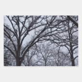 Black White Winter Natuur Wildlife Deer Inpakpapier Vel (Voorkant)