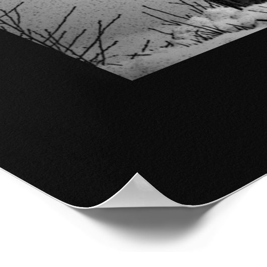 Black & White Wolf Howling op Moon Poster Print (Hoek)