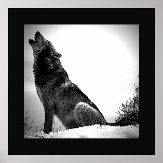Black & White Wolf Howling op Moon Poster Print (Voorkant)