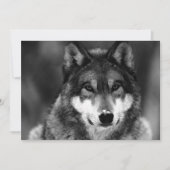 Black & White Wolf Uitnodiging (Voorkant)