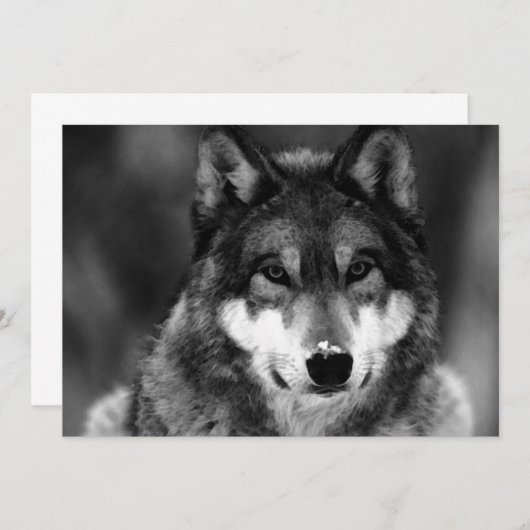 Black & White Wolf Uitnodiging (Voorkant / Achterkant)