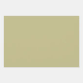 Black & White Woodpecker Inpakpapier Vel (Voorkant 3)