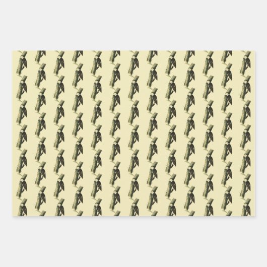 Black & White Woodpecker Inpakpapier Vel (Voorkant 2)